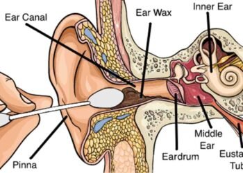 کاٹن بڈز کا نقصان