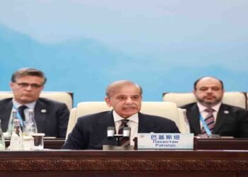 وزیراعظم شہباز شریف: چین پاکستان اقتصادی راہداری ایس سی او انضمام کی بہترین مثال