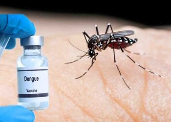 خیبرپختونخوا میں ڈینگی کیسز میں اضافہ – صوبے بھر میں مریضوں کی تعداد 1181 تک پہنچ گئی