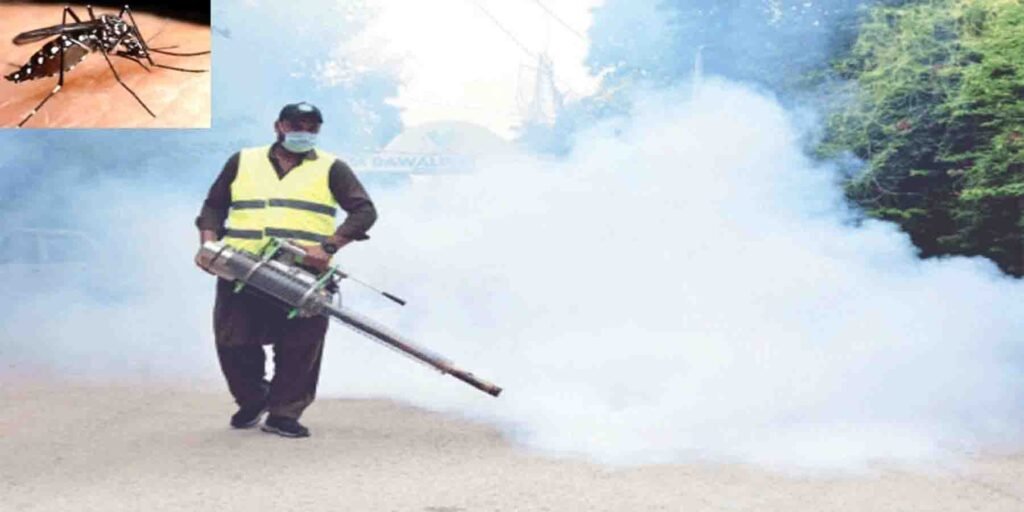 انسداد ڈینگی مہم میں غفلت برتنے والے ورکرز اور سپر وائزرز راولپنڈی میں نوکری سے برطرف"