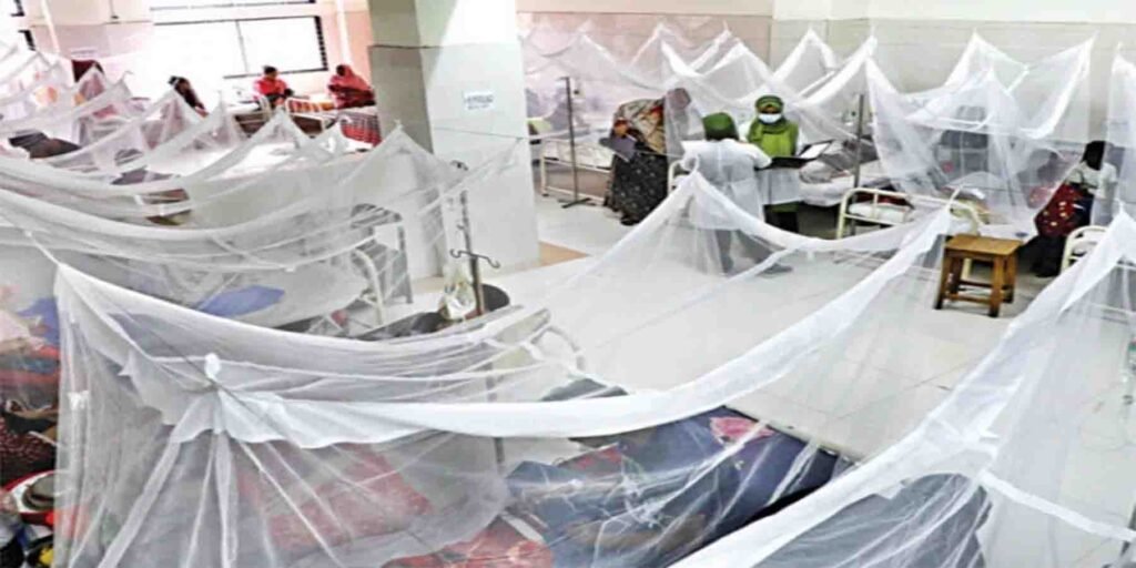 اسلام آباد میں ڈینگی وائرس کے مریض اور اسپرے مہم