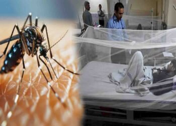 ڈینگی کے وار راولپنڈی میں جاری، 24 گھنٹوں میں 12 نئے کیسز