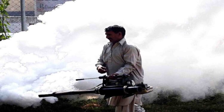 ڈینگی مریضوں کی تعداد میں اضافہ، اسپتالوں میں رش اور صورتحال سنگین