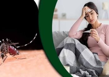 اسلام آباد میں ڈینگی وائرس کے کیسز میں خطرناک اضافہ، عوام محتاط