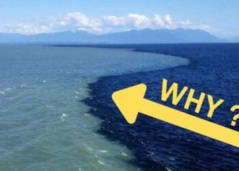 2 سمندروں کا ملاپ