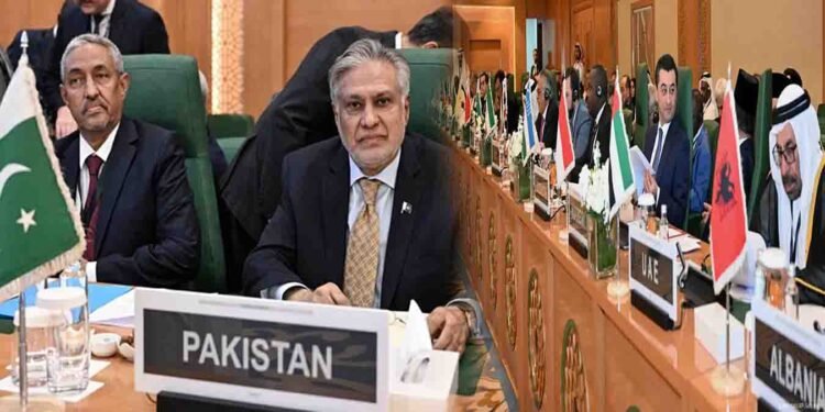 اسحاق ڈار عرب اسلامی سربراہی اجلاس میں خطاب کرتے ہوئے