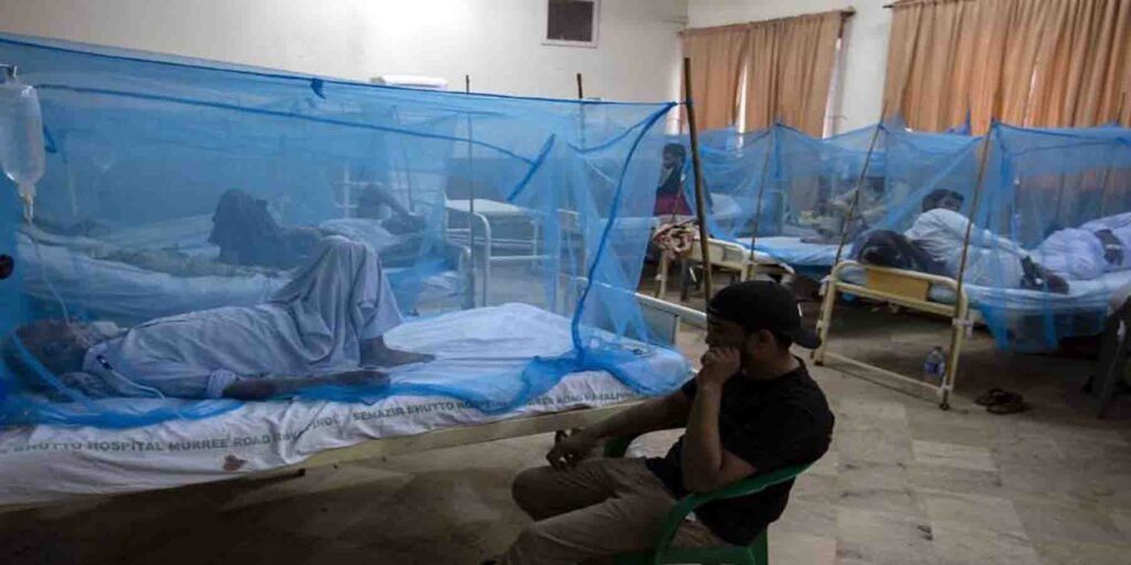 اسلام آباد ڈینگی کیسز میں اضافہ، اسپتالوں میں مریضوں کا علاج جاری