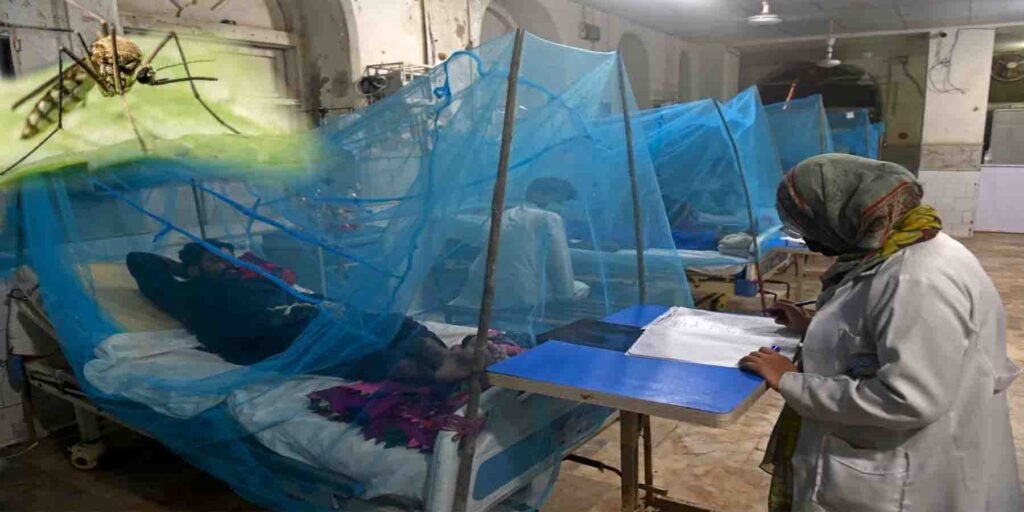 اسلام آباد ڈینگی کیسز میں اضافہ اور اسپتالوں کی صورتحال