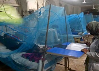 اسلام آباد ڈینگی کیسز میں اضافہ اور اسپتالوں کی صورتحال