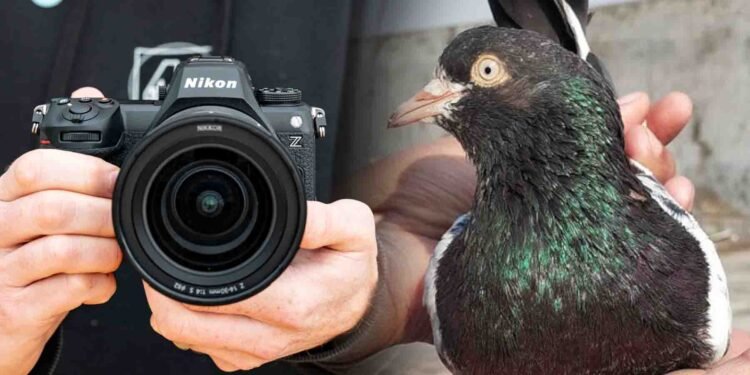 کبوتر کیمرہ