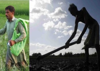 سندھ حکومت کا کسانوں کے لیے بڑا اعلان – ہاری کارڈ اور سولر سبسڈی