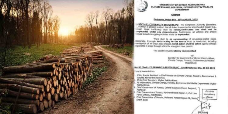 خیبر پختونخوا غیر قانونی لکڑی سمگلنگ کے خلاف محکمہ جنگلات کی کارروائی