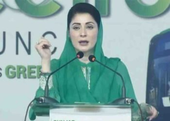 پنجاب کے سیلاب پر سیاست