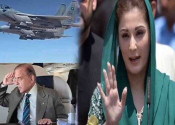 سعودی جہازوں کی جانب سے شہباز شریف کو سلامی