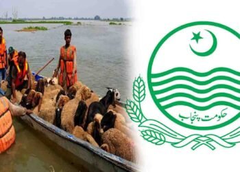 پنجاب حکومت کا نجی کشتیوں کو ریگولیٹ کرنے کا فیصلہ سیلاب متاثرین کے لیے بڑا اقدام