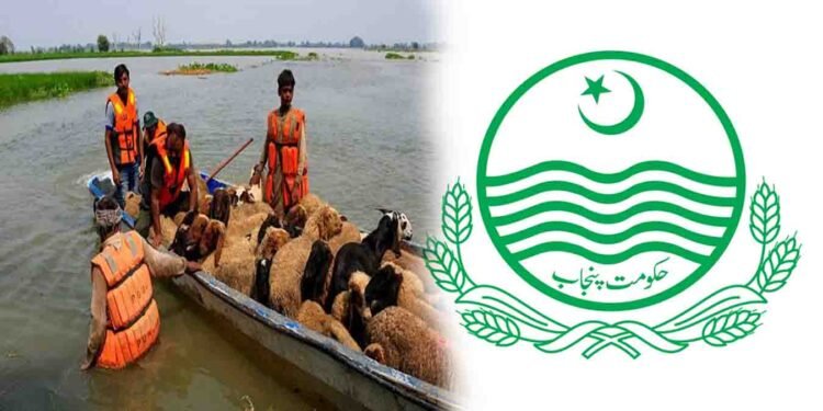 پنجاب حکومت کا نجی کشتیوں کو ریگولیٹ کرنے کا فیصلہ سیلاب متاثرین کے لیے بڑا اقدام