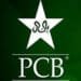 پاکستان کرکٹ بورڈ این او سی کارکردگی سے مشروط