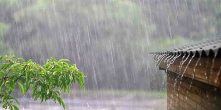 محکمہ موسمیات کی بارش کی پیشگوئی پاکستان