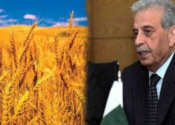 گندم پالیسی پر گفتگو کرتے ہوئے وفاقی وزیر رانا تنویر