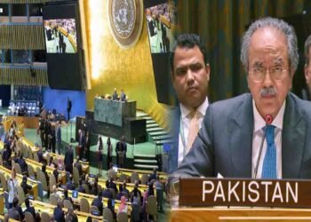 پاکستان کا کرارا جواب سلامتی کونسل میں اسرائیلی ریمارکس پر