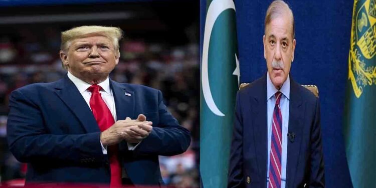 وزیراعظم شہباز شریف اقوام متحدہ اجلاس میں مسئلہ فلسطین پر خطاب کرتے ہوئے