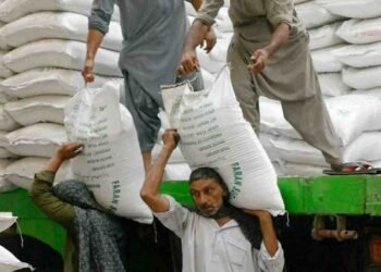 ٹریڈنگ کارپوریشن آف پاکستان چینی درآمد ٹینڈر