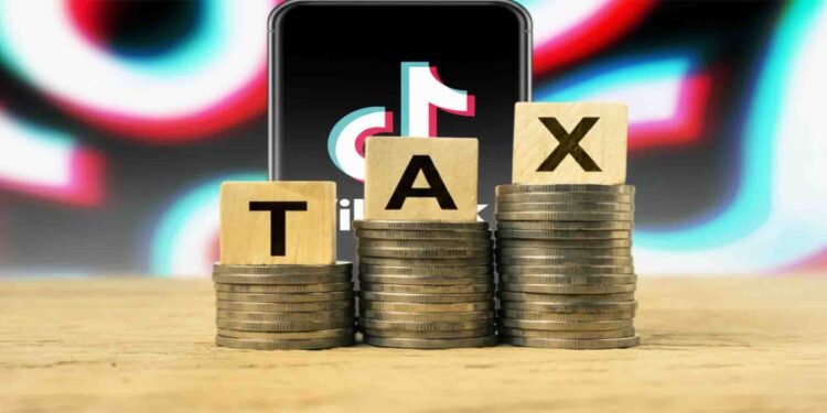 ٹک ٹاکرز سے ٹیکس وصولی پر فیصل واوڈا کی تجویز