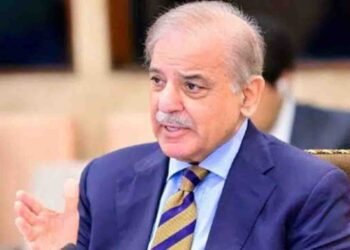 وزیراعظم شہباز شریف کا افغانستان زلزلہ پرافسوس