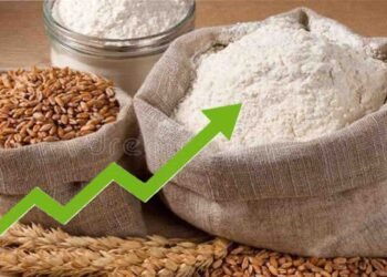 پنجاب حکومت کی جانب سے آٹے اور روٹی کی قیمت مقرر کرنے کا اعلان