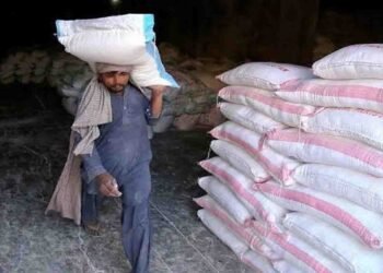 سیلاب اور بارشوں سے غذائی بحران اور بڑھتی قیمتیں