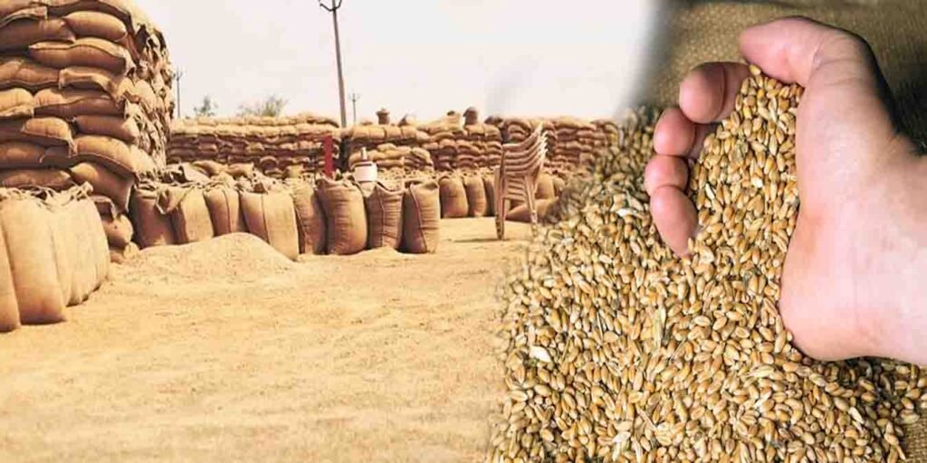 منڈی بہاؤالدین گندم برآمد آپریشن میں 400 ٹن گندم ضبط