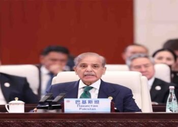 شی جن پھنگ اور شہباز شریف ملاقات: چین پاکستان تعلقات امن و ترقی کی ضمانت