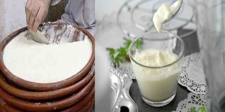 ہڈیوں کو مضبوط بنانے کیلئے دہی کھانے کا بہترین وقت – ماہرین کی رائے