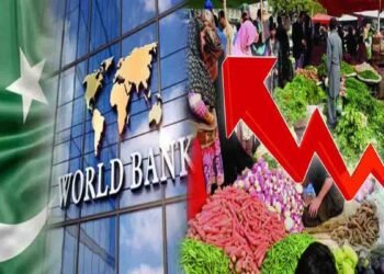 عالمی بینک کی معاشی رپورٹ پاکستان، سیلابی نقصانات اور مہنگائی میں اضافہ