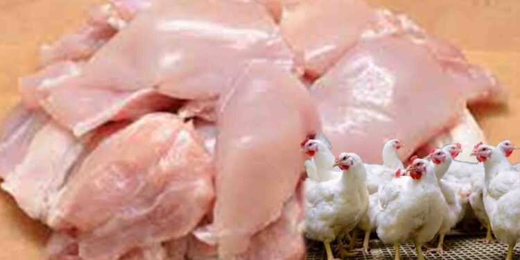 برائلر گوشت کی قیمت میں اضافہ سے عوام پریشان