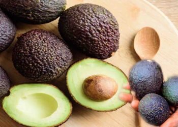 ایواکاڈو کے بھورے ہونے کے بعد کھانا محفوظ رکھنے کا سائنسی طریقہ