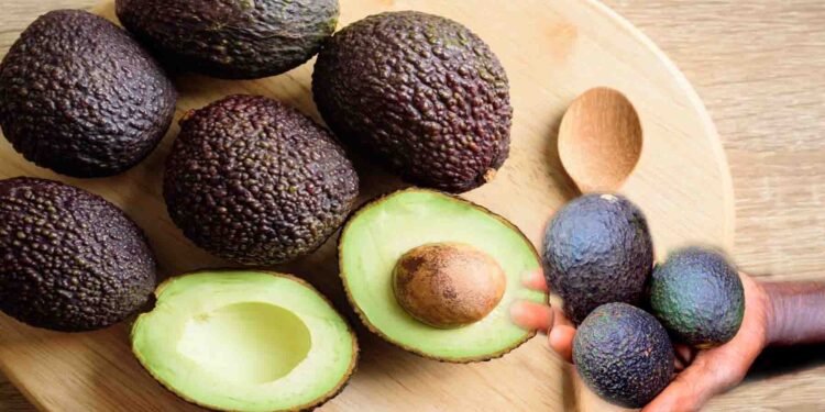 ایواکاڈو کے بھورے ہونے کے بعد کھانا محفوظ رکھنے کا سائنسی طریقہ