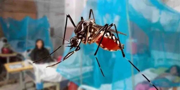 راولپنڈی میں ڈینگی کے کیسز کے دوران محکمہ صحت کی کارروائیاں