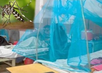 راولپنڈی میں ڈینگی کیسز میں اضافہ کی رپورٹ