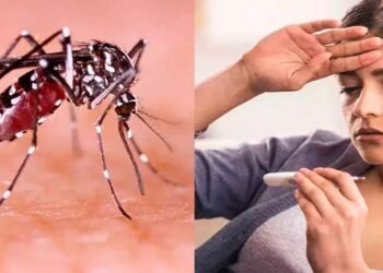 Dengue Cases in Rawalpindi Today — راولپنڈی میں ڈینگی کے 22 نئے کیس رپورٹ