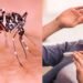 Dengue Cases in Rawalpindi Today — راولپنڈی میں ڈینگی کے 22 نئے کیس رپورٹ