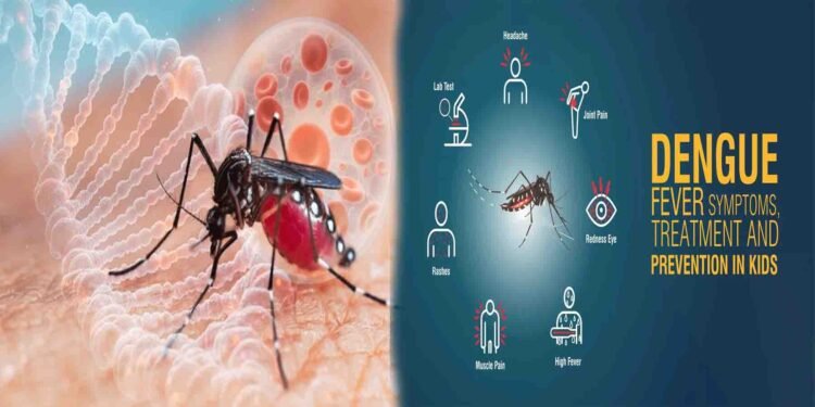 کے پی میں ڈینگی کیسز 2025