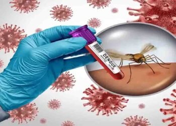 Dengue Cases Rawalpindi: راولپنڈی میں ڈینگی کیسز میں اضافہ