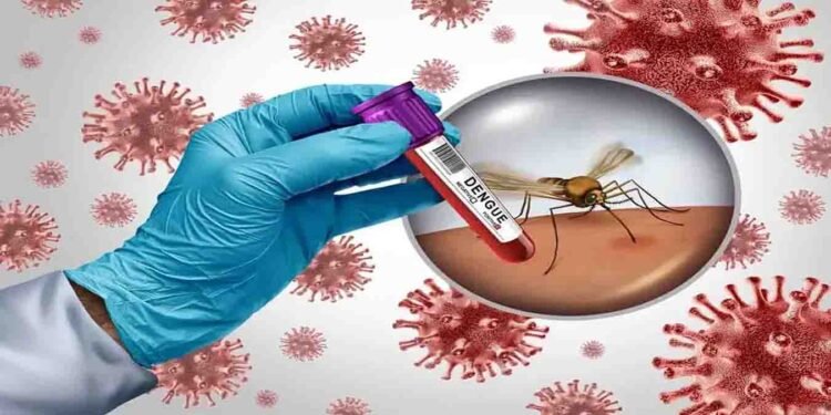 Dengue Cases Rawalpindi: راولپنڈی میں ڈینگی کیسز میں اضافہ
