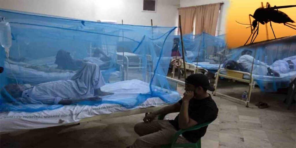 راولپنڈی میں ڈینگی کیسز میں اضافہ، عوام کو محتاط رہنے کی ہدایت