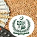 وزیر اعظم شہباز شریف گندم پالیسی 26-2025 کی منظوری دے دی