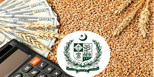 وزیر اعظم شہباز شریف گندم پالیسی 26-2025 کی منظوری دے دی