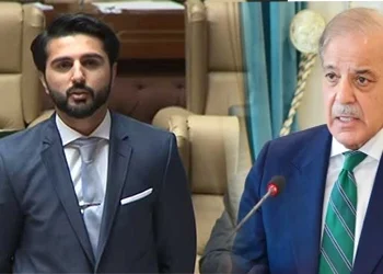 سندھ حکومت کا گندم کی امدادی قیمت 4 ہزار 200 روپے فی من مقرر کنے کا مطالبہ