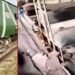 جعفر ایکسپریس دھماکہ شکارپور میں ریلوے ٹریک پر بوگیاں پٹری سے اتر گئیں