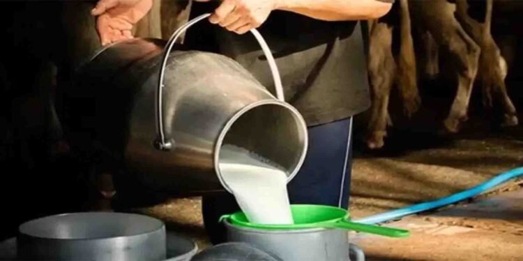 دودھ کی نئی قیمت میں اضافہ اور شہریوں کی تشویش